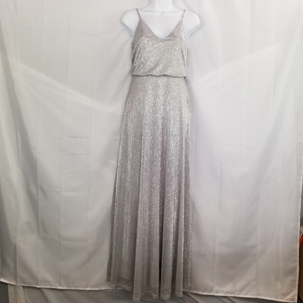 Lulus sparkly silver dress